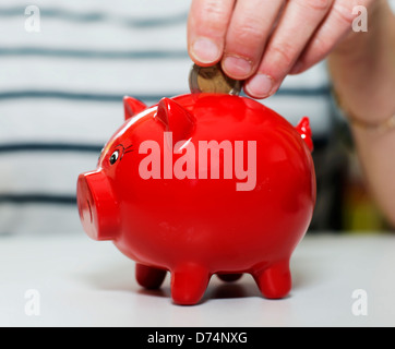 weibliche Hand setzen Euro in Geld Schwein Stockfoto