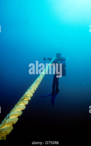 Sea of Cortez, Okt 1994 Digital Unterwasser schieben-Konvertierung, einer Bucht, die Halbinsel Baja California USA aus Mexiko trennt Stockfoto