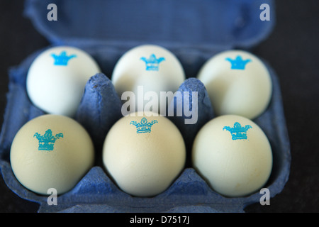 Pastell gefärbt Freilandeier in ein blaues Ei-box Stockfoto