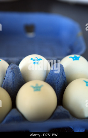 Pastell gefärbt Freilandeier in ein blaues Ei-box Stockfoto