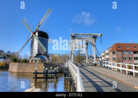Galgewater, Windmühle De Put, Rembrandt Brücke, Leiden, Südholland, Niederlande Stockfoto