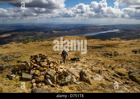 Walker und Hund absteigend ein Bergpfad, alte Mann der Coniston Hufeisen, Lake District, Großbritannien Stockfoto