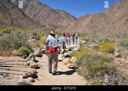 Wanderer auf dem Borrego Palm Canyon Trail in Anza-Borrego Desert State Park, Kalifornien Stockfoto