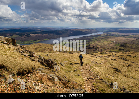 Weibliche walker Person und Hund bewundern Sie die Aussicht beim Abstieg ein Berg, alte Mann der Coniston, Cumbria, Großbritannien Stockfoto