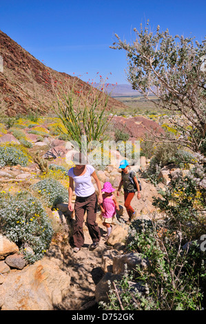 Eine Mutter und zwei Töchtern auf dem Borrego Palm Canyon Trail in Anza-Borrego Desert State Park, Kalifornien Stockfoto