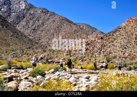 Wanderer auf dem Borrego Palm Canyon Trail in Anza-Borrego Desert State Park, Kalifornien Stockfoto