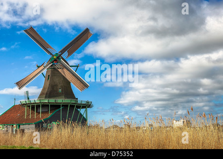 Windmühle in Zaanse Schans, Zaandam, Nordholland, Niederlande Stockfoto