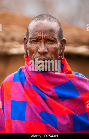 Ein angesehener Maasai-Ältester, umhüllt in ein leuchtendes Rot-Blau-shúkà, steht vor einem weichen natürlichen Hintergrund im ländlichen Kenia. Stockfoto