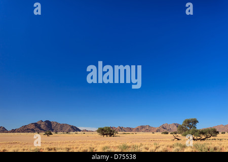 Rote namibische Wüstensanddünen erheben sich in Reihe an der Atlantikküste Stockfoto