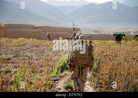 US-Marines und afghanischen nationalen zivilen Ordnung Polizisten patrouillieren während Betrieb Kalifornien, feindlichen Aufständischen aus dem Dorf Loy Mandah 28. April 2013 in Kajaki District, Provinz Helmand, Afghanistan zu löschen. Stockfoto