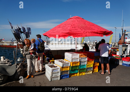 Die Halbinsel Hel (Hela), Dorf Hel, Verkauf von Fischen aus einem Trawler im Hafen, Ostsee, Polen Stockfoto