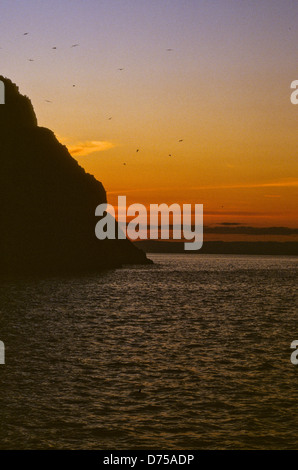 Sea of Cortez, Okt 1994 Digital Unterwasser schieben-Konvertierung, einer Bucht, die Halbinsel Baja California USA aus Mexiko trennt Stockfoto