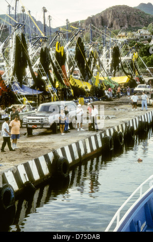 Sea of Cortez, Okt 1994 Digital Unterwasser schieben-Konvertierung, einer Bucht, die Halbinsel Baja California USA aus Mexiko trennt Stockfoto