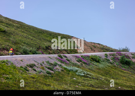 Einsame Radfahrer geladen mit Campingausrüstung reiten die eingeschränkte Zufahrt über Thorofare Pass, Denali National Park, Alaska, USA Stockfoto