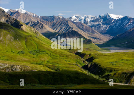 Südlich von Alaska Range von in der Nähe von Eielson Visitor Center, Denali National Park, Alaska, USA anzeigen Stockfoto