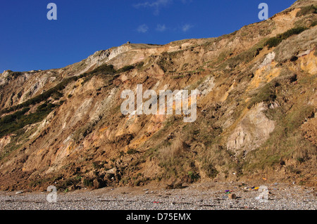 Ein Blick auf Worbarrow Bay Dorset auf der Jurassic coast Stockfoto