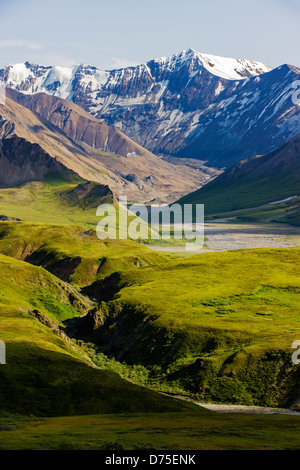 Südlich von Alaska Range von in der Nähe von Eielson Visitor Center, Denali National Park, Alaska, USA anzeigen Stockfoto