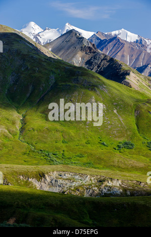 Südlich von Alaska Range von in der Nähe von Eielson Visitor Center, Denali National Park, Alaska, USA anzeigen Stockfoto