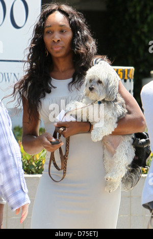 Venus Williams verlässt Mehraban Orientteppich Shop mit ihrem Hund in West Hollywood Los Angeles, Kalifornien - 10.08.11 Stockfoto