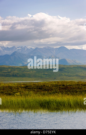 Mt. McKinley (Denali Berg), höchsten pt N America (20.320') über Wolken, Denali National Park, Alaska, USA Stockfoto