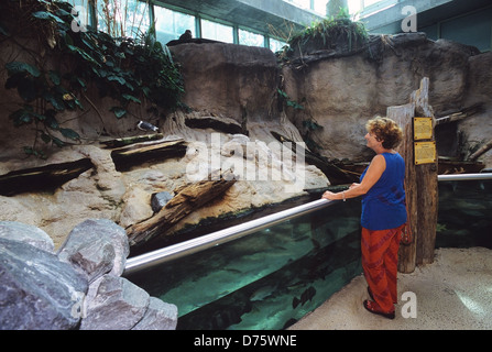 Elk283-2120 Louisiana, New Orleans, Audubon Aquarium of the Americas, Ausstellung mit Besucher Stockfoto