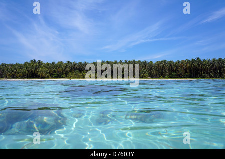 Tropischen Küste mit üppigen Palmen am Horizont und türkisfarbenem Wasser, Oberfläche, Zapatillas Inseln, Karibik, Panama Stockfoto