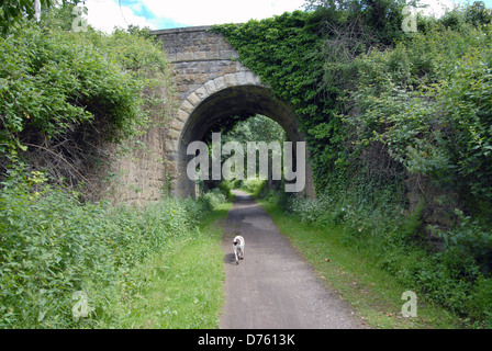 Eine steinerne Brücke über den Radweg entlang der stillgelegten Bahnstrecke zwischen Chippenham und calne in Wiltshire. Stockfoto