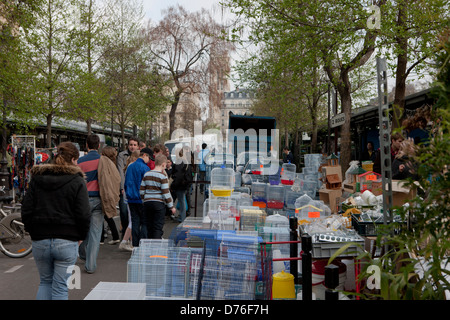 Paris, die Inselstadt, Blumenmarkt, Ile De La Cité, Marché Aux Fleurs, Frankreich Stockfoto