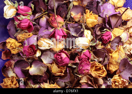 Ein Potpourri aus bunten getrockneten Rosen in Nahaufnahme Stockfoto