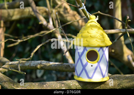 Ein buntes Vogelhäuschen auf einem Ast Stockfoto