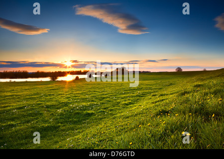 Sonnenuntergang über blühende Wiesen im Frühjahr Stockfoto