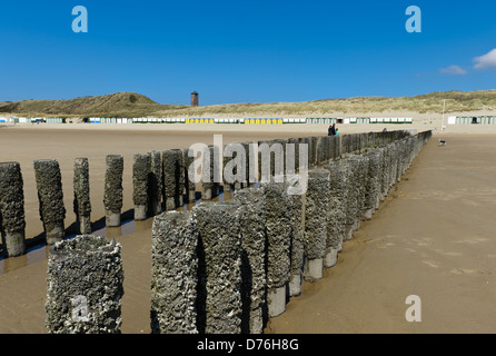 Eines der vielen hölzernen Wellenbrecher am Strand mit Blick auf Leuchtturm und Strand Hütten, Walcheren, Zoutelande, Niederlande Stockfoto