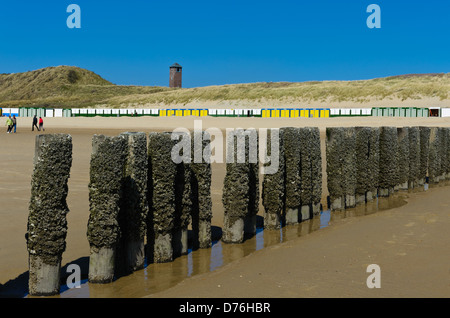 Eines der vielen hölzernen Wellenbrecher am Strand mit Blick auf Leuchtturm und Strand Hütten, Walcheren, Zoutelande, Niederlande Stockfoto