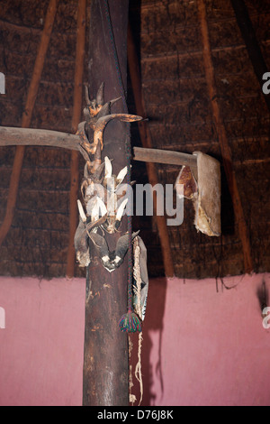 Utensilien der Xhosa Sangoma Medizinmann, der Wild Coast, Eastern Cape, Südafrika Stockfoto