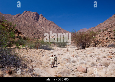 Touristen, die Tsisabschlucht-Schlucht-Tal, Brandberg, Erongo, Namibia Stockfoto