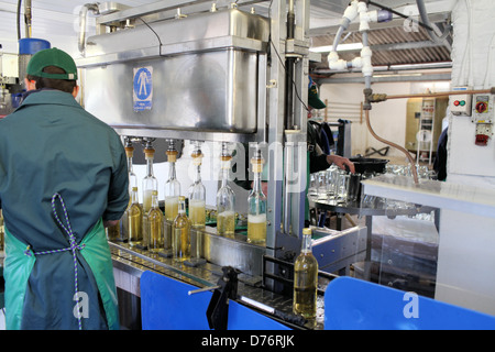 Arbeiter Flasche Cider auf Healeys Cornish Cyder Farm, Cornwall, UK Stockfoto