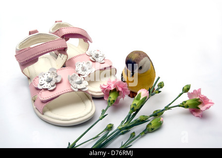 Girl pink Schuhe neben der bunte Vogel und drei Zehen Stockfoto