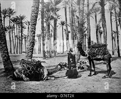 Eines der ersten Autotype-Fotos von der Oasis de Touggourt, Algerien, um 1880 Stockfoto