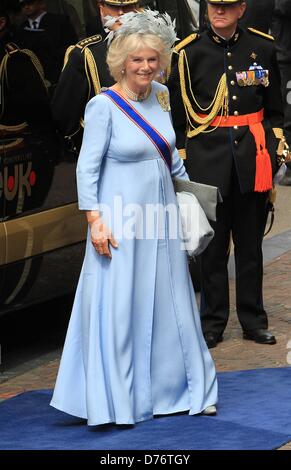 Amsterdam, Niederlande. 30. April 2013. Großbritanniens Herzogin von Cornwall, Camilla, kommt in der Nieuwe Kerk in Amsterdam, wo die Amtseinführung des neuen Königs stattfindet. Während die Amtseinführung des neuen Königs ist im Amt bestätigt und schwört Treue zur Verfassung und zur treu die Aufgaben seines Amtes. Foto: Patrick van Katwijk / / Alamy Live News Stockfoto