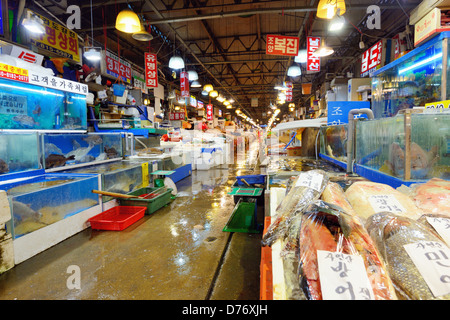 Noryangjin Fischerei Großhandelsmarkt in Seoul, Südkorea Stockfoto