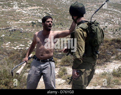 30. April 2013 - Nablus, West Bank, Palästina - ein palästinensischen Dorfbewohner aus Oref Dorf Raufereien mit einem israelischen Polizisten bei Auseinandersetzungen mit jüdischen Siedlern nach israelischer Siedler Dörfer in der Nähe von Nablus City 30 April griffen 2013. Berichten zufolge, die nach einem israelischen Siedler Zusammenstößen wurde von einem palästinensischen Mann erstochen. Israelische Medien berichteten, dass der palästinensische Angreifer die Siedler Waffe nahm und begann Brennen bei einer nahegelegenen israelischen Grenze Wache Kraft, Feuer, zurückgekehrte verletzte des Angreifers (Credit-Bild: © Nedal Eshtayah/APA Images/ZUMAPRESS.com) Stockfoto