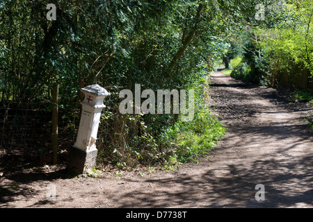 London City Corporation Kohle Steuer Pflicht Post mit Stadt Schild "Kohle Pflichten handeln 1845" Colley Hill Reitweg Reigate Surrey Stockfoto