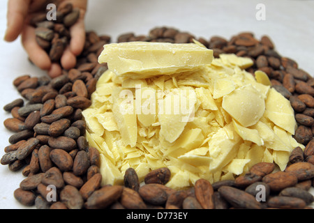 Handewitt, Deutschland, Kakaobutter und geröstete Kakaobohnen in einer Schokoladenfabrik Stockfoto