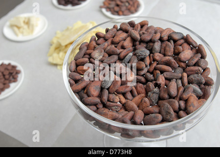 Handewitt, Deutschland, geröstete Kakaobohnen in einer Schokoladenfabrik Stockfoto
