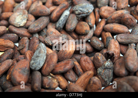 Handewitt, Deutschland, geröstete Kakaobohnen in einer Schokoladenfabrik Stockfoto