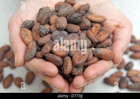 Handewitt, Deutschland, geröstete Kakaobohnen in einer Schokoladenfabrik Stockfoto