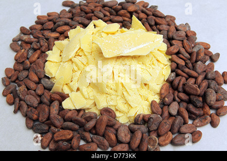 Handewitt, Deutschland, Kakaobutter und geröstete Kakaobohnen in einer Schokoladenfabrik Stockfoto