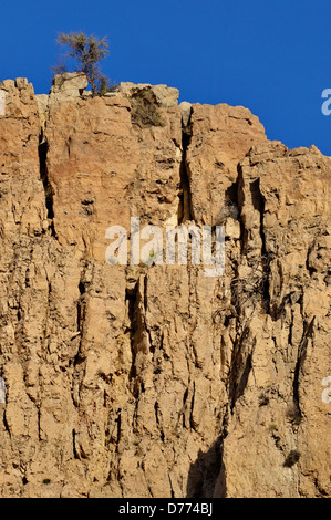 Jordanien Wadi Dana reservieren die Klippe über dem canyon Stockfoto