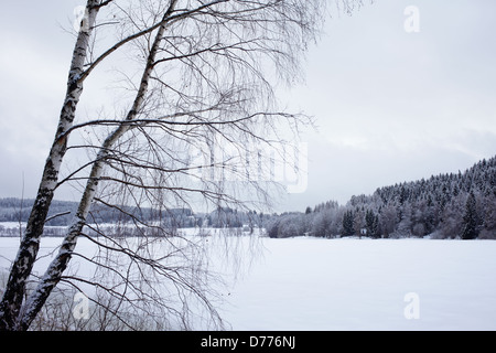 Lippen, der Tschechischen Republik, dieser gefrorenen See Lipno Stockfoto