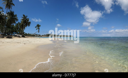 Las Terrenas, Dominikanische Republik, Angelboote/Fischerboote und Palmen am Strand Stockfoto